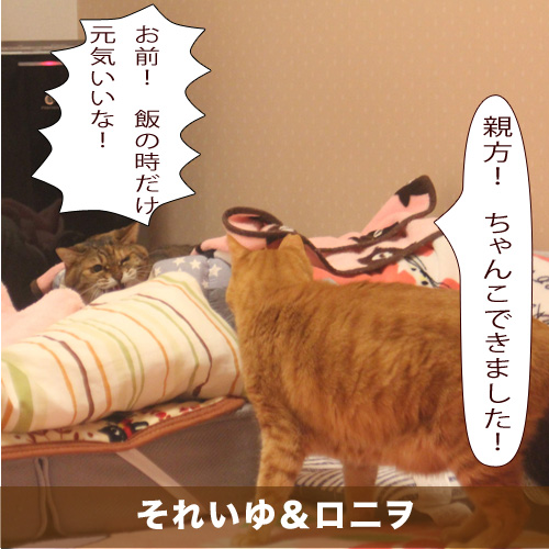 20200729_touko.jpg