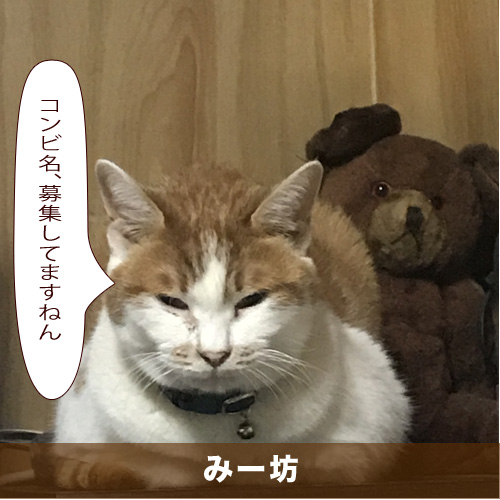 20200803_touko.jpg