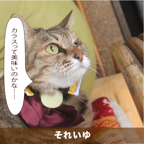 20200804_touko.jpg
