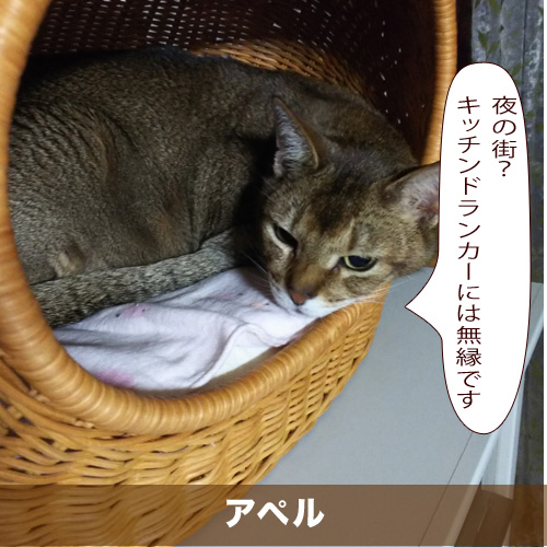 20200806_touko.jpg