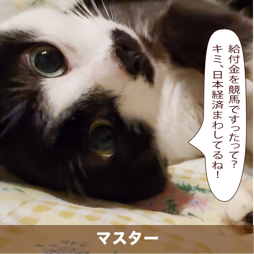 20200807_touko.jpg