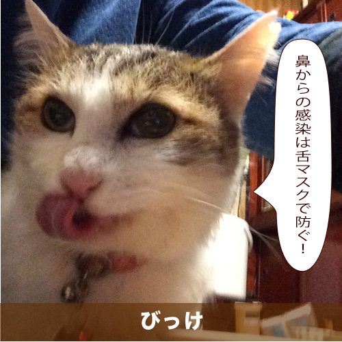 20200808_touko.jpg
