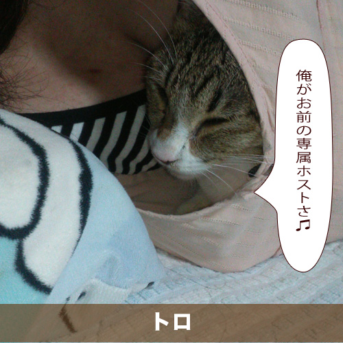20200809_touko.jpg