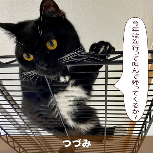 20200810_touko.jpg