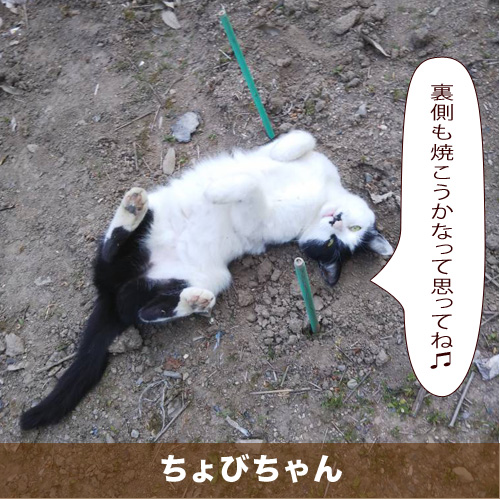 20200811_touko.jpg