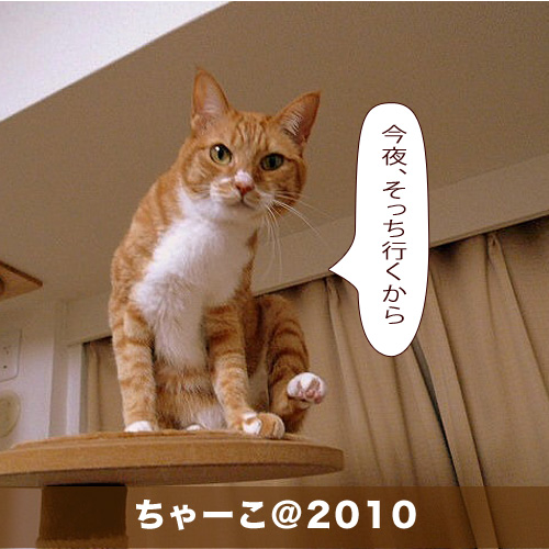 20200813_touko.jpg