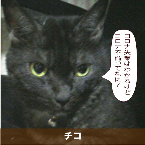 20200814_touko.jpg