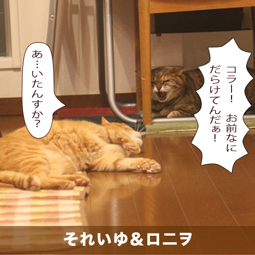 20200815_touko.jpg