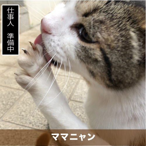 20200816_touko.jpg
