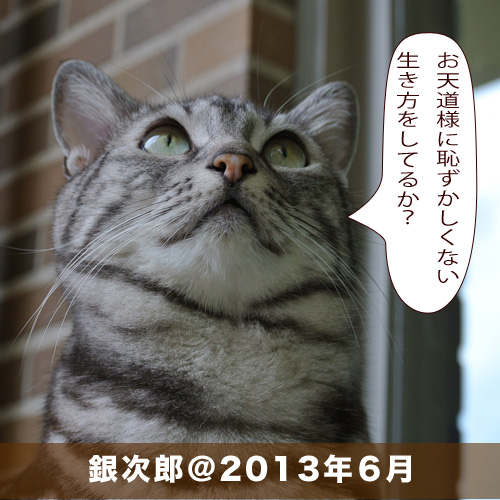 20200821_touko.jpg