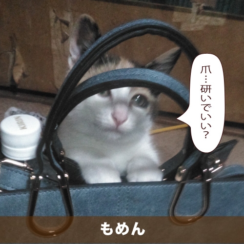 20200822_touko.jpg
