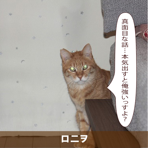 20200823_touko.jpg