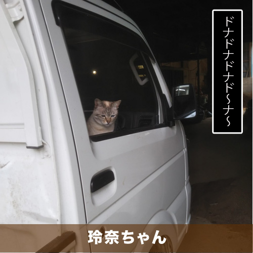 20200824_touko.jpg