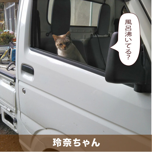 20200826_touko.jpg
