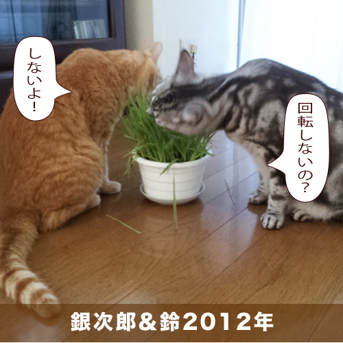 20200830_touko.jpg