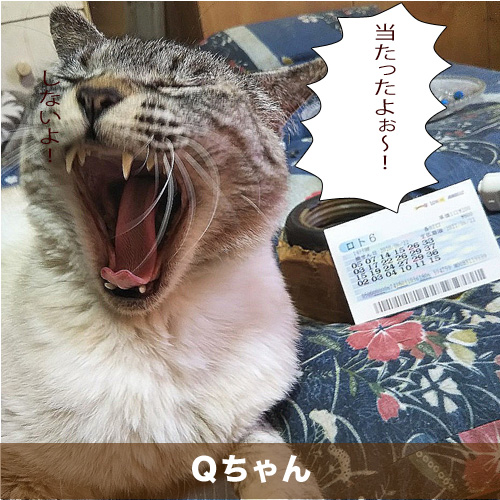 20200831_touko.jpg