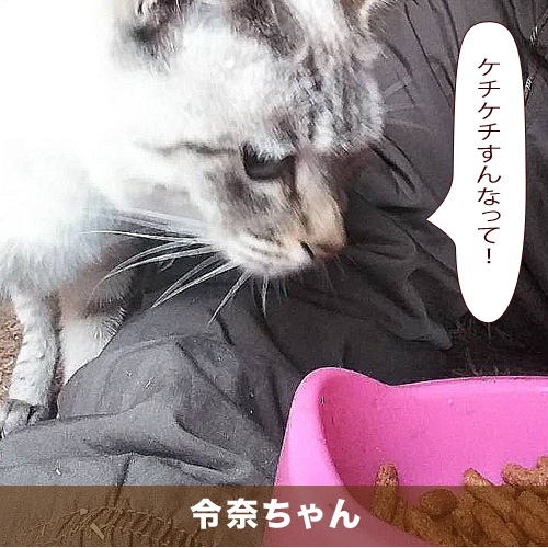 20200901_touko.jpg