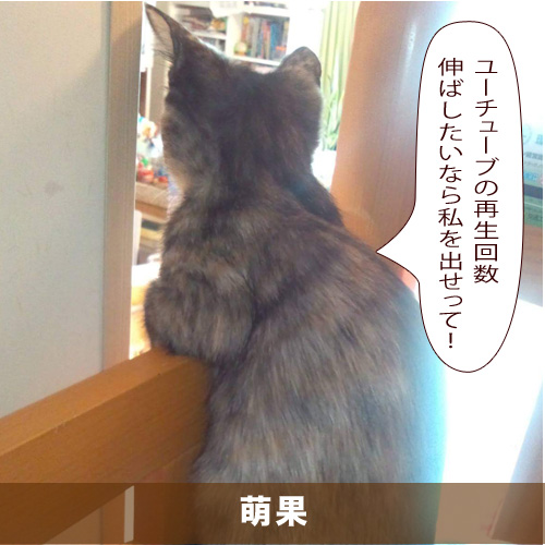 20200902_touko.jpg