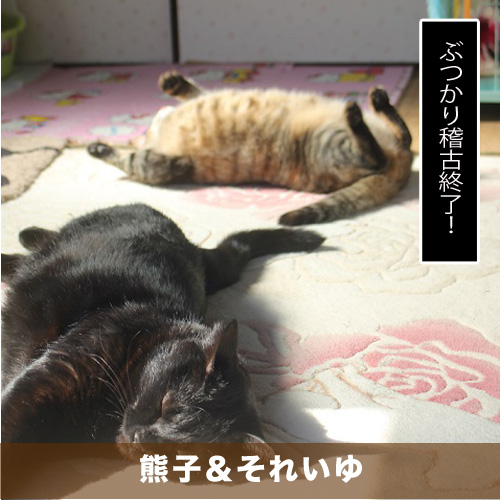 20200903_touko.jpg