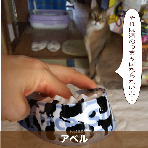 20200905_touko.jpg