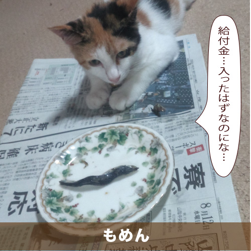 20200907_touko.jpg