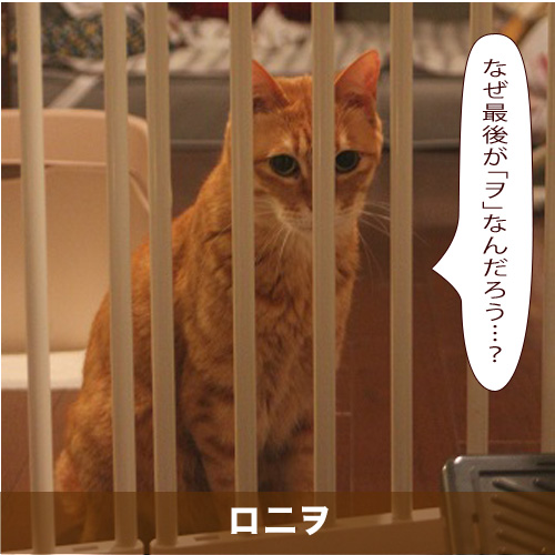 20200908_touko.jpg