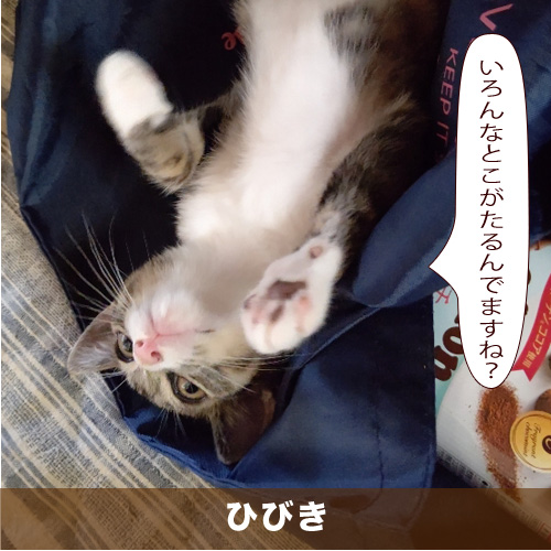 20200909_touko.jpg