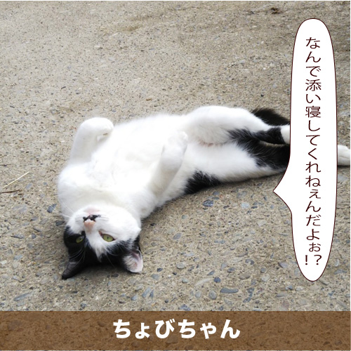 20200910_touko.jpg