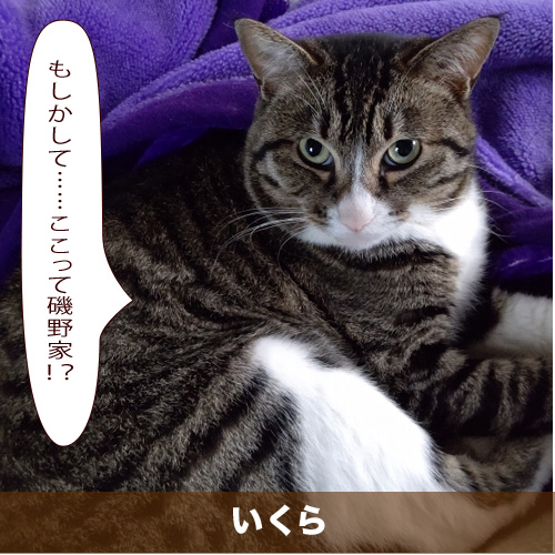 20200912_touko.jpg