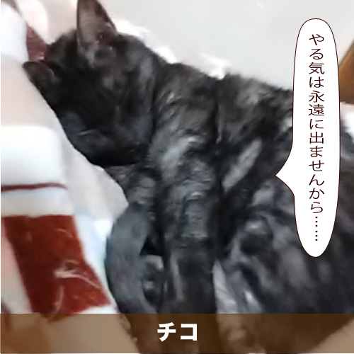 20200913_touko.jpg