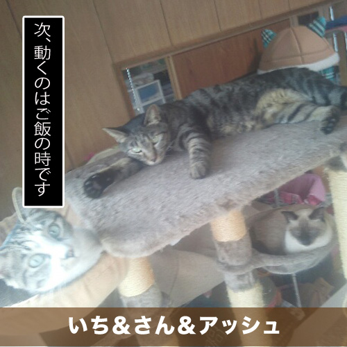 20200914_touko.jpg