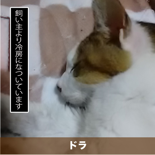 20200915_touko.jpg