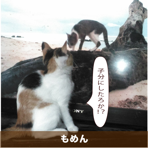 20200917_touko.jpg