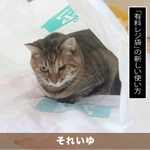 20200924_touko.jpg