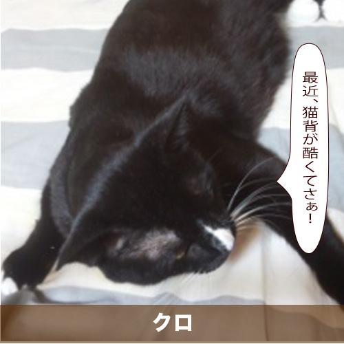 20200925_touko.jpg