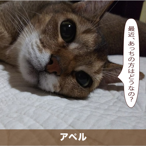 20200927_touko.jpg