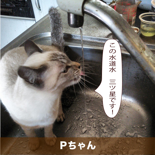 20201002_touko.jpg