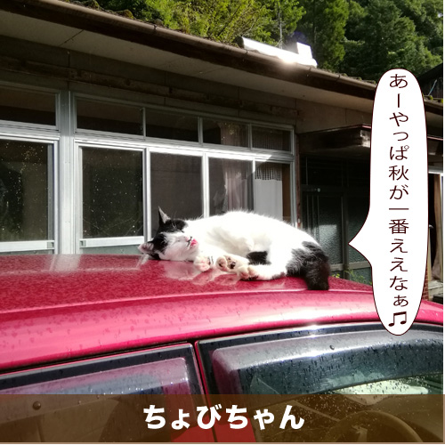 20201004_touko.jpg