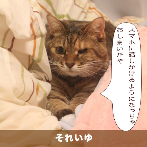 20201007_touko.jpg