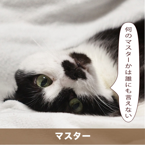 20201009_touko.jpg