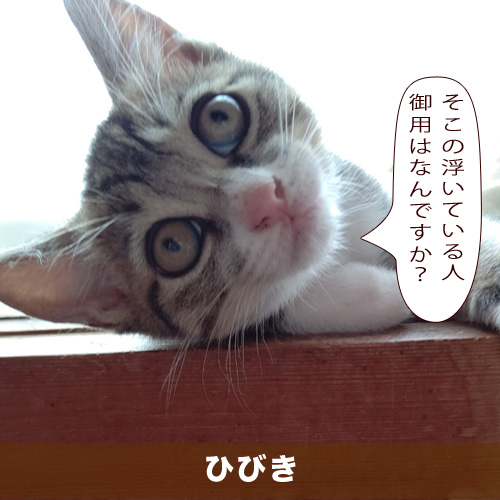 20201010_touko.jpg