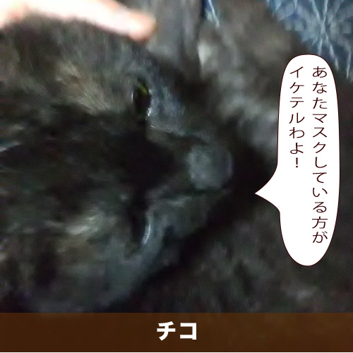20201011_touko.jpg