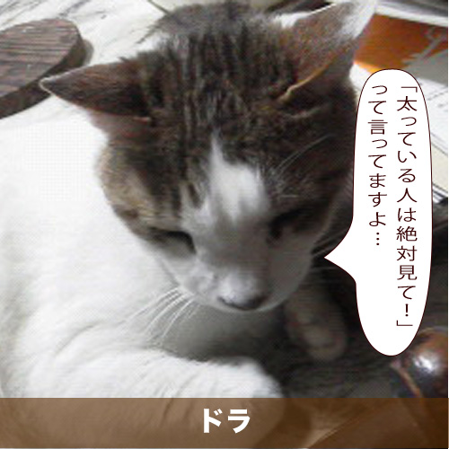 20201012_touko.jpg