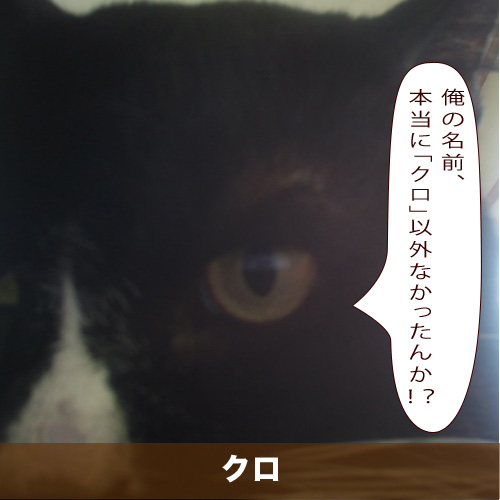 20201013_touko.jpg