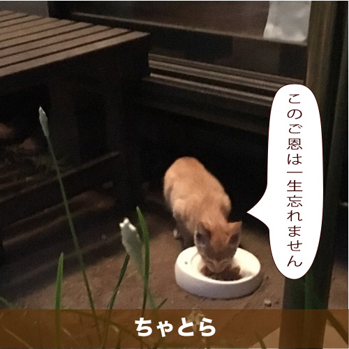 20201014_touko.jpg