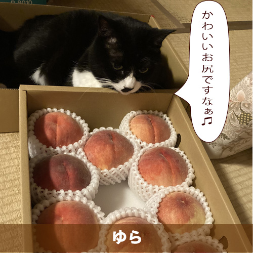 20201015_touko.jpg