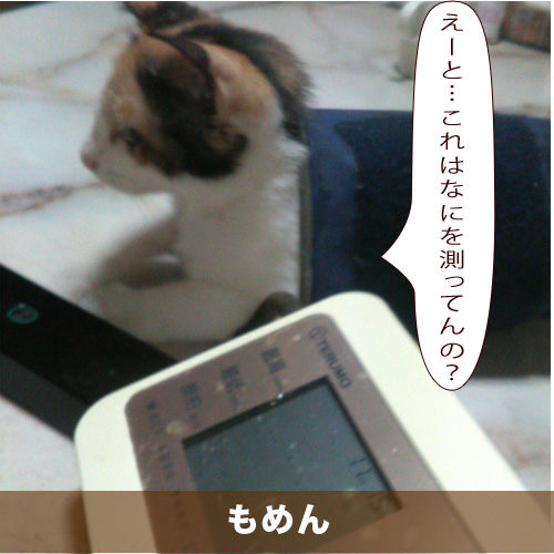 20201016_touko.jpg
