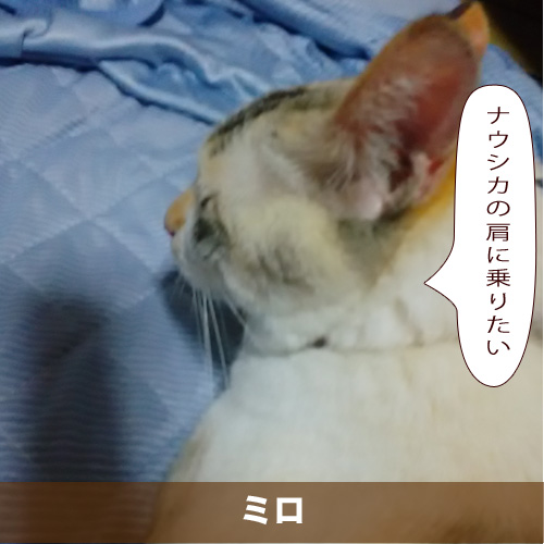 20201018_touko.jpg