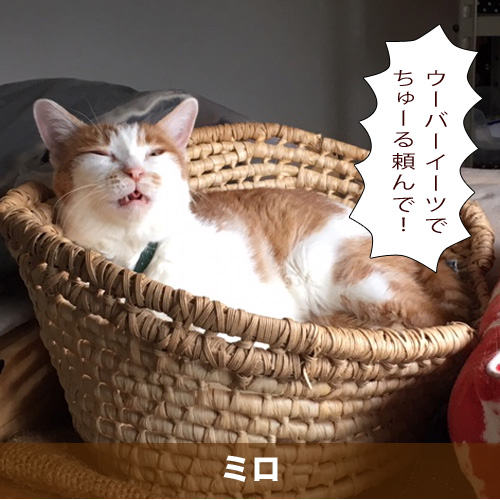 20201019_touko.jpg