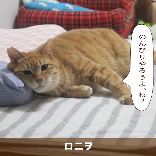 20201021_touko.jpg